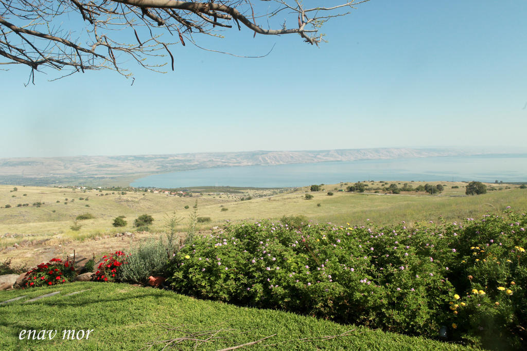 Apartament Sea Of Galilee Site Chorazim Zewnętrze zdjęcie