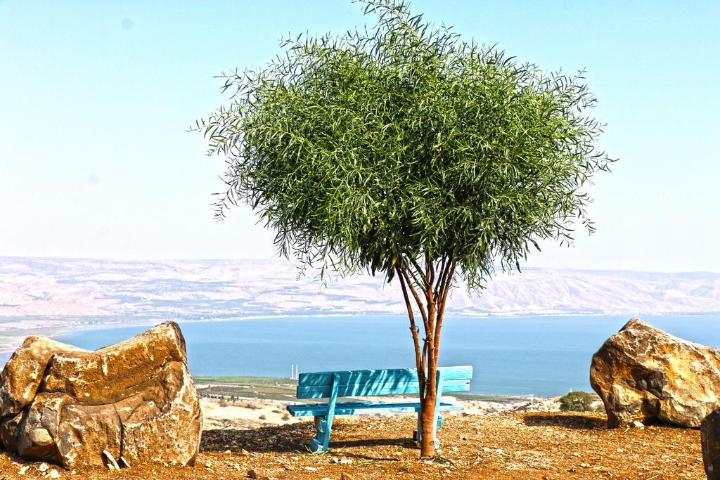 Apartament Sea Of Galilee Site Chorazim Zewnętrze zdjęcie