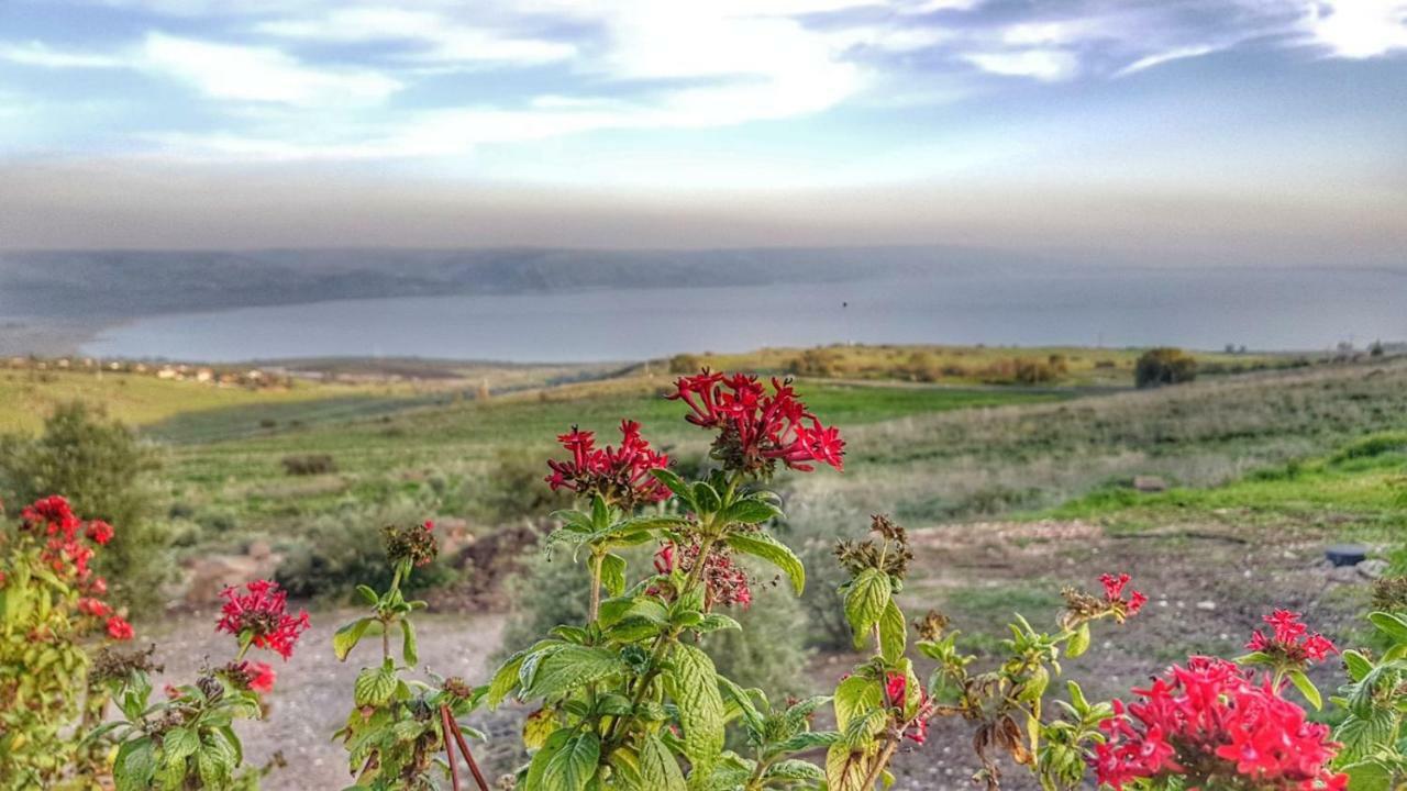 Apartament Sea Of Galilee Site Chorazim Zewnętrze zdjęcie